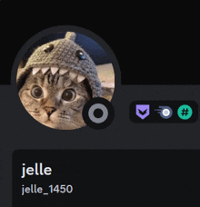 a picture of a cat wearing a shark hat with the name jelle