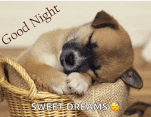 a puppy sleeping in a wicker basket with the words good night sweet dreams below it