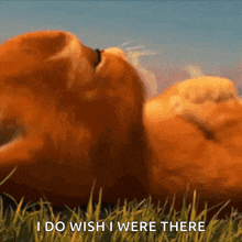 a cat is laying in the grass with the words " i do wish i were there " written below it