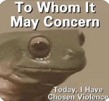 a picture of a frog with the words to whom it may concern today i have chosen violence