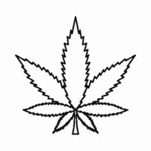 a marijuana leaf icon in outline style on a white background .