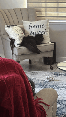 a black cat is laying on a chair with a home sweet pillow