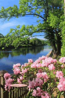 a wooden fence surrounded by pink flowers with a sign that says " welcome "