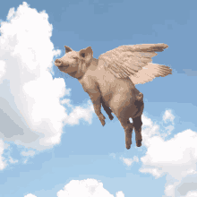 a pig with wings is flying through a blue sky