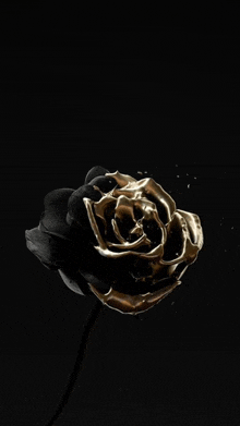 a black rose is covered in gold paint