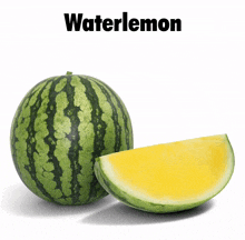 a watermelon with a slice taken out of it and the word waterlemon written above it