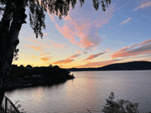 a sunset over a large body of water with a tree in the foreground