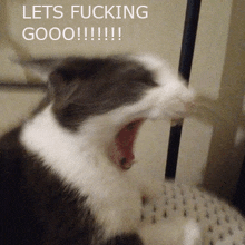 a cat is yawning with the words lets fucking gooo !!! written above it