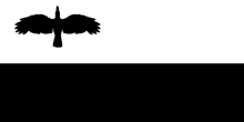 a black and white silhouette of a bird flying in the air