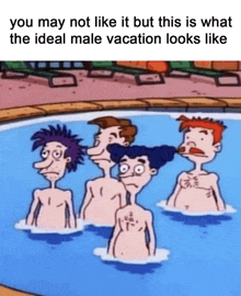 a group of cartoon characters are swimming in a pool with the caption you may not like it but this is what the ideal male vacation