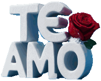 the word te amo with a red rose on top