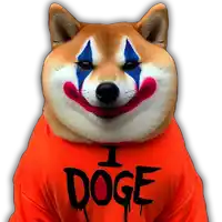 a dog wearing a shirt that says i doge on it