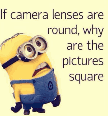 a picture of a minion with a caption that says " if camera lenses are round , why are the pictures square "