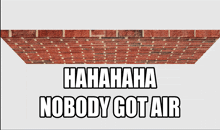 a brick wall with the words " hahahaha nobody got air " above it