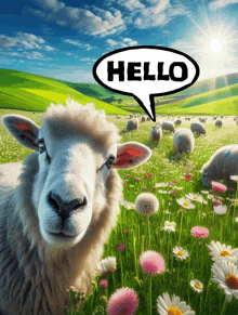 a sheep standing in a field with a speech bubble that says hello