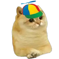 a cat wearing a hat with a propeller on top of it