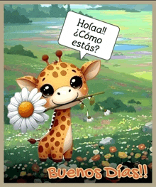 a giraffe holding a flower with a speech bubble that says holaa !!