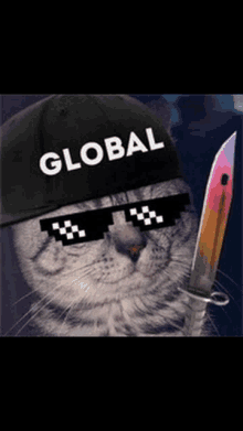 a cat wearing a hat that says global on it