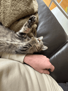 a cat is laying on a person 's lap with its paw on the arm