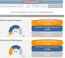 a screen shot of the south dakota covid-19 dashboard showing staffed hospital bed capacity