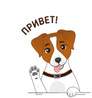 a brown and white dog is waving its paw and says " привет "