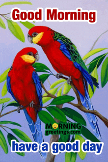 two colorful birds are sitting on a tree branch with the words good morning have a good day below them