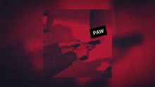 a person holding a gun with the word paw on the bottom