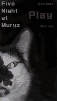 a black and white cat with the words five night at muryz on the top