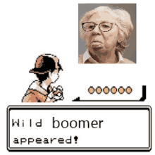 a pixel art of a boy and an elderly woman with the words wild boomer appeared on the bottom