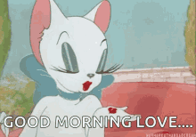 a cartoon cat is blowing a kiss and saying good morning love