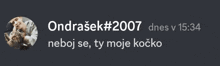 ondrasek # 2007 dnes v 16:34 neboj se ty moje kočko