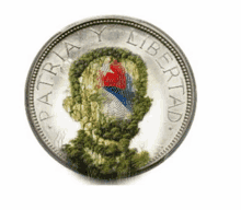 a coin with a picture of a man and the words patria y libertad on it