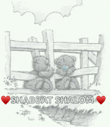 a drawing of two teddy bears sitting on a fence with the words " shabbat shalom " below them