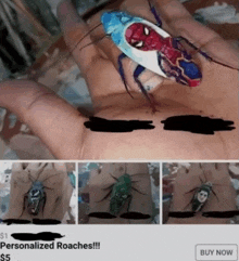 a person is holding a cockroach with a spider man face on it