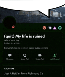 a screenshot of a person 's profile that says " quit my life is ruined "