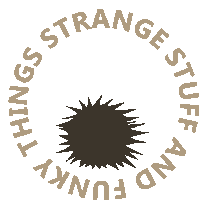 strange things and funky stuff logo with a hedgehog