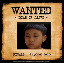 a wanted poster with a picture of a child