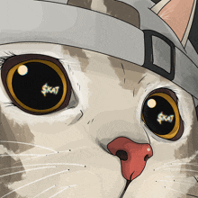 a close up of a cat 's eyes with the word skat written in them