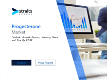 a brochure for progesterone market shows a man standing in front of a computer