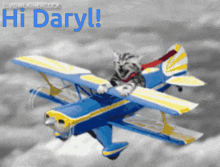 a cat is sitting on a blue and yellow airplane with the words hi daryl on the bottom