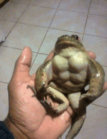 a person is holding a frog that has muscles on it