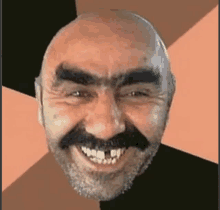 a bald man with a mustache and eyebrows smiles for the camera