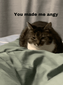 a cat laying on a bed with a caption that says you made me angry