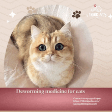 an advertisement for deworming medicine for cats shows a cat