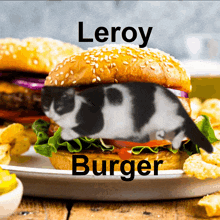 a picture of a hamburger with a cat on it and the words leroy burger below it