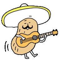 a cartoon potato wearing a sombrero is playing a guitar