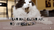 a cat with its mouth open and the words i can haz clean air no virus plz on the bottom