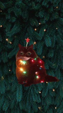 a cat is sitting under a christmas tree with a star on its head