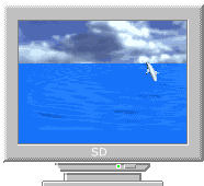 a computer monitor with a picture of a dolphin on the screen