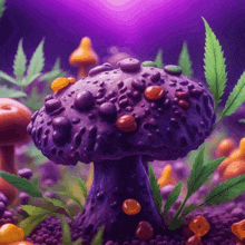 a purple mushroom is surrounded by other mushrooms and green leaves